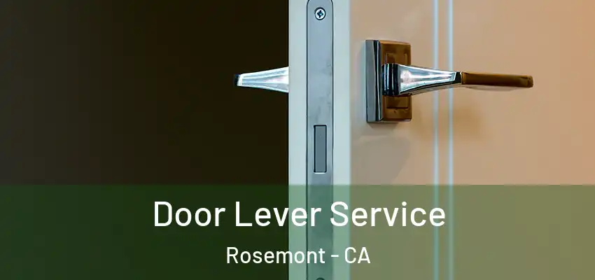  Door Lever Service Rosemont - CA